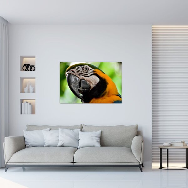 Tablou cu papagal (90x60 cm)