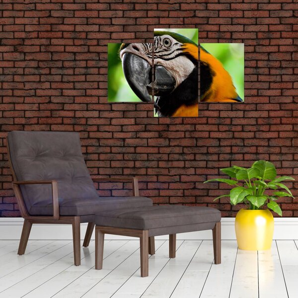 Tablou cu papagal (90x60 cm)