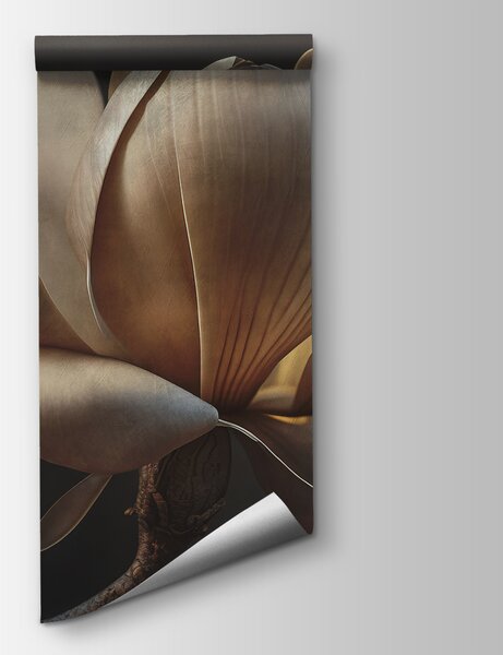 Fototapet Magnolie grațioasă în lumină blândă, Fototapet flori 3D, Fototapet populare, u94507 - Tapeko.ro