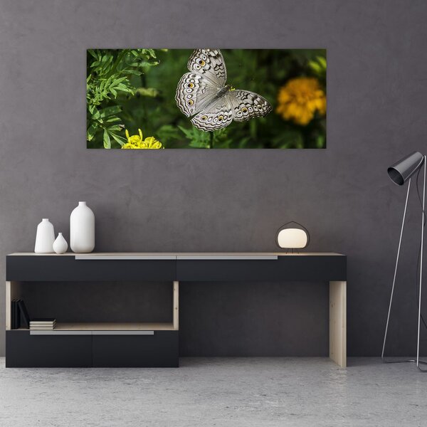 Tablou - fluture alb (120x50 cm)