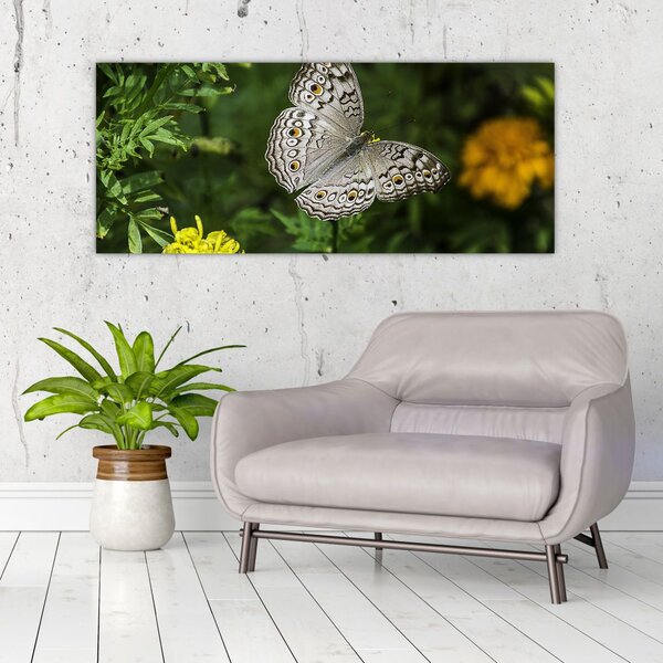 Tablou - fluture alb (120x50 cm)