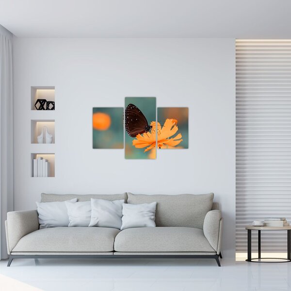 Tablou - fluture pe o floare portocalie (90x60 cm)