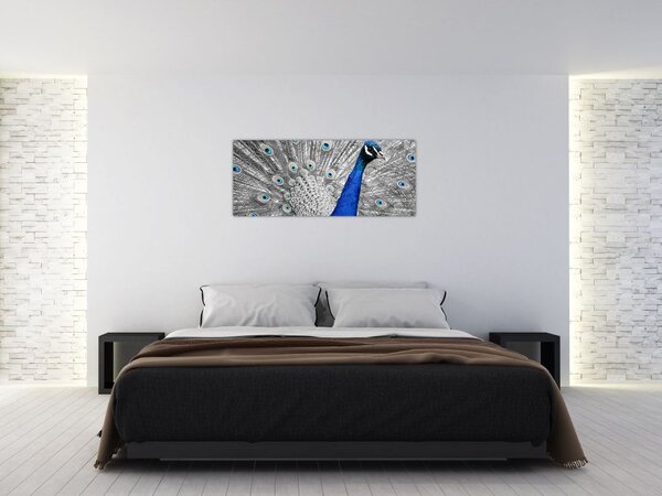 Tablou - păun albastru (120x50 cm)