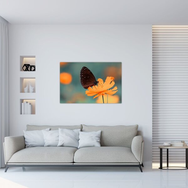 Tablou - fluture pe o floare portocalie (90x60 cm)