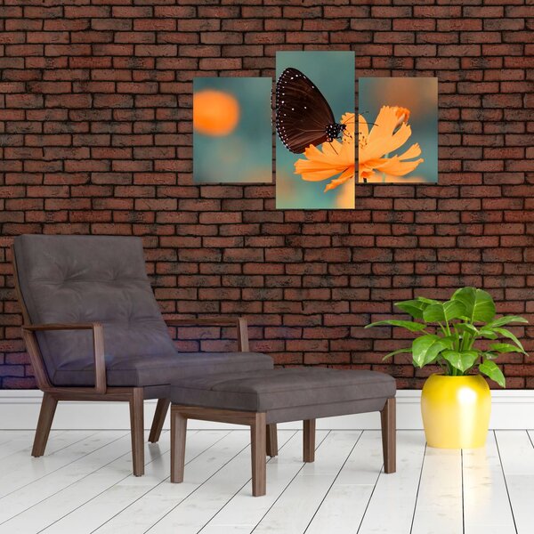 Tablou - fluture pe o floare portocalie (90x60 cm)