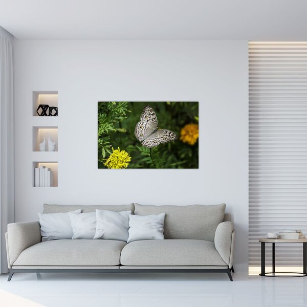 Tablou - fluture alb (90x60 cm)