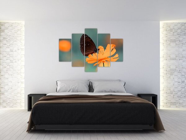 Tablou - fluture pe o floare portocalie (150x105 cm)