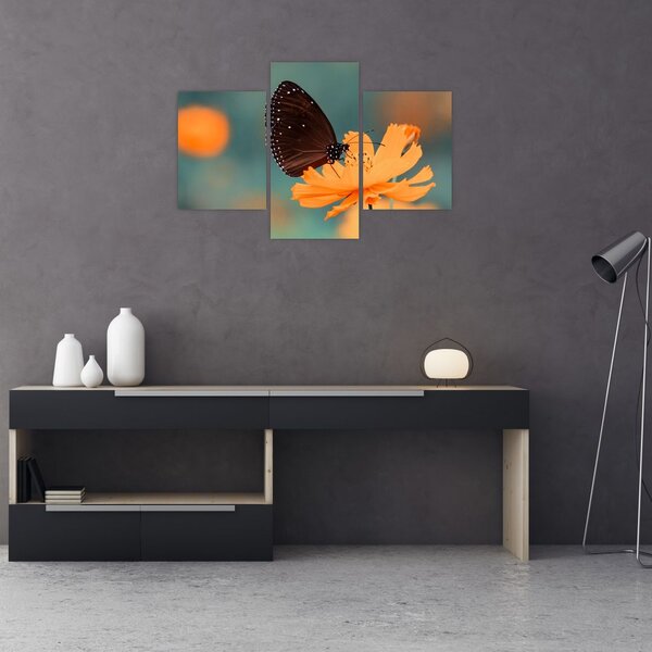 Tablou - fluture pe o floare portocalie (90x60 cm)