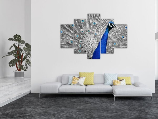 Tablou - păun albastru (150x105 cm)