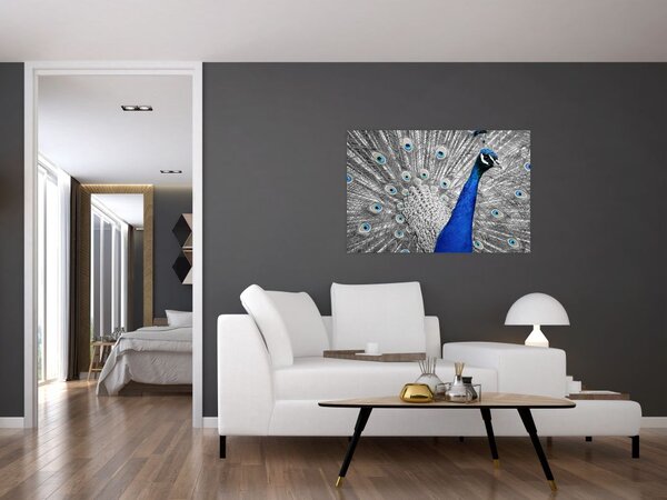Tablou - păun albastru (90x60 cm)