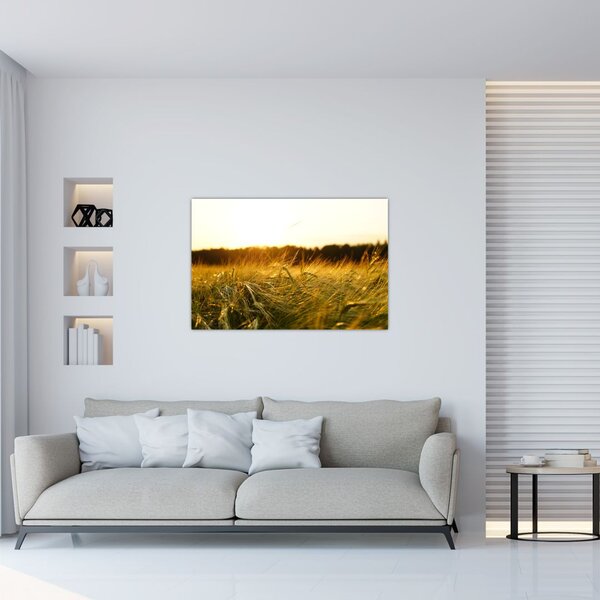 Tablou iarba cu rouă (90x60 cm)
