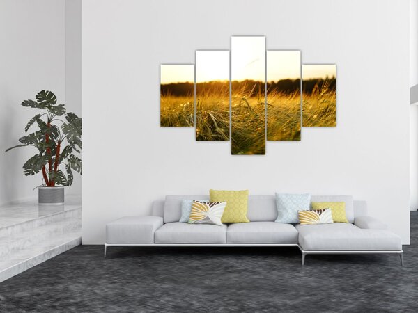 Tablou iarba cu rouă (150x105 cm)