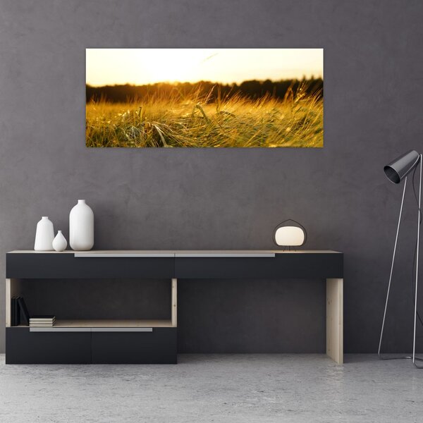 Tablou iarba cu rouă (120x50 cm)