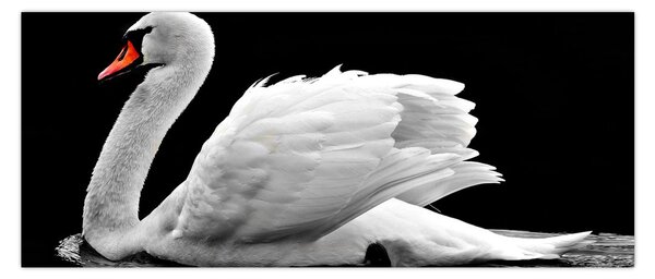 Tablou cu lebăda alb neagră (120x50 cm)