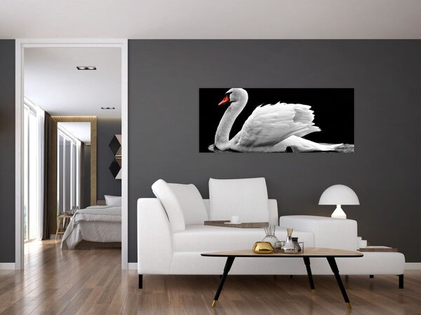 Tablou cu lebăda alb neagră (120x50 cm)