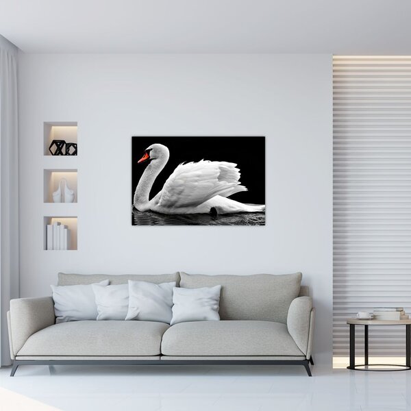 Tablou cu lebăda alb neagră (90x60 cm)