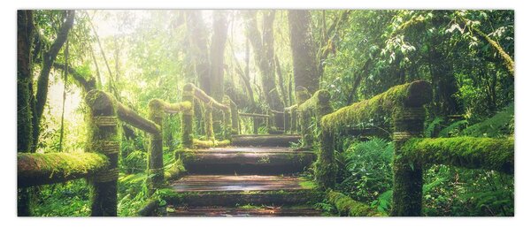 Tablou - trepte din lemn în pădure (120x50 cm)