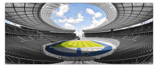 Tablou - stadionul de fodbal (120x50 cm)