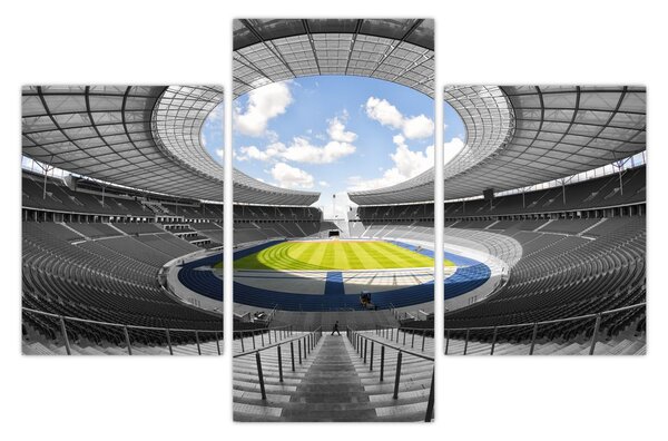 Tablou - stadionul de fodbal (90x60 cm)