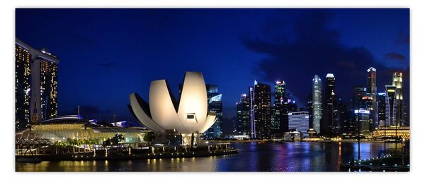 Tablou Singapore nocturn (120x50 cm)