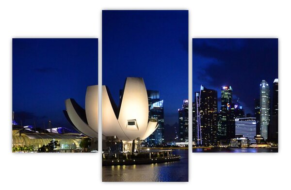 Tablou Singapore nocturn (90x60 cm)