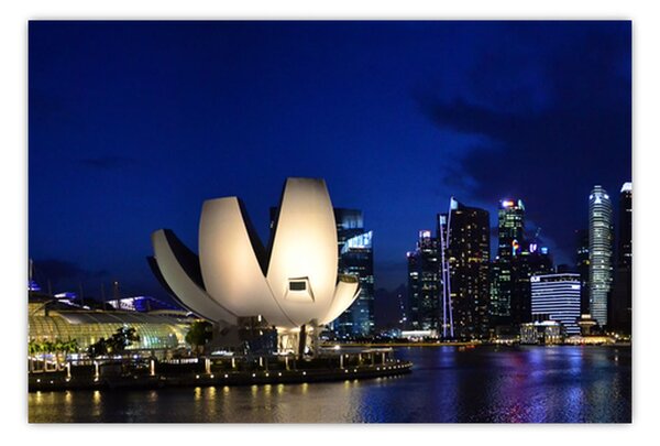 Tablou Singapore nocturn (90x60 cm)
