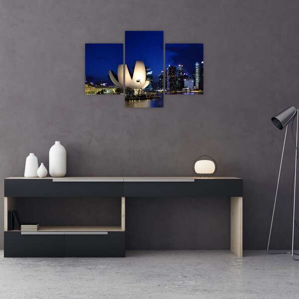 Tablou Singapore nocturn (90x60 cm)