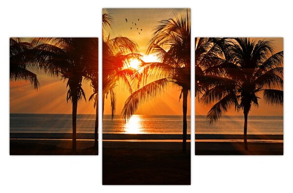 Tablou cu palmier în apus de soare (90x60 cm)