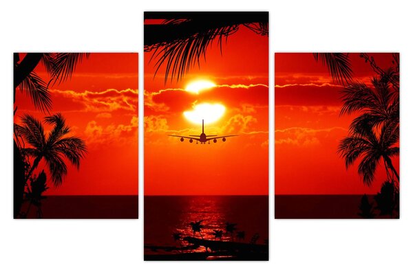 Tablou - apus de soare cu avion (90x60 cm)