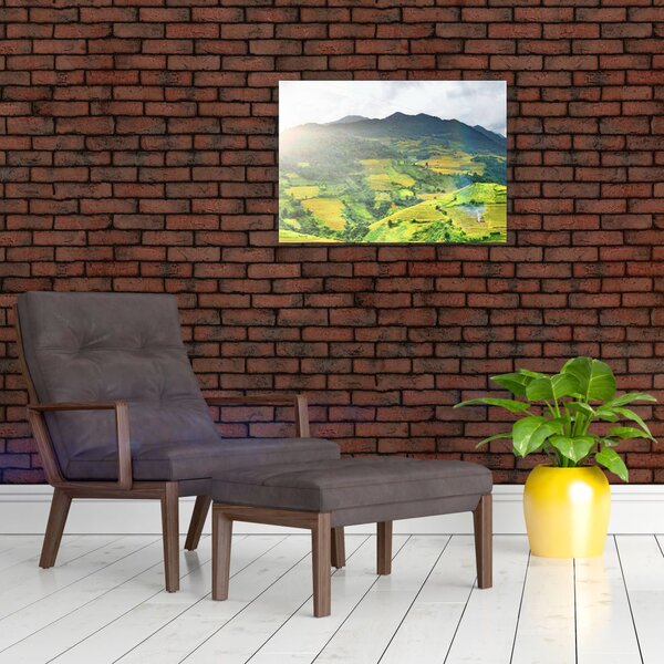 Tablou plantație (70x50 cm)