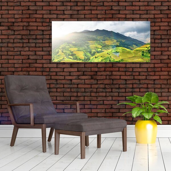 Tablou plantație (120x50 cm)