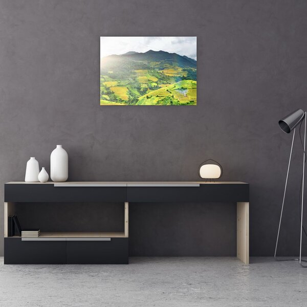 Tablou plantație (70x50 cm)