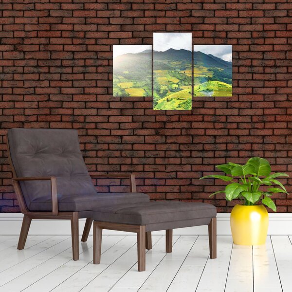 Tablou plantație (90x60 cm)
