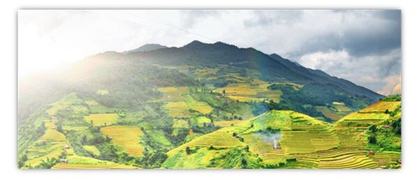 Tablou plantație (120x50 cm)