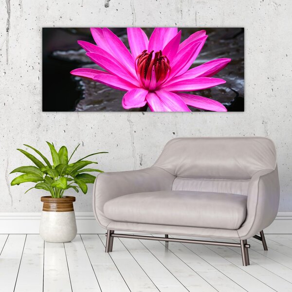 Tablou - floarea roz (120x50 cm)