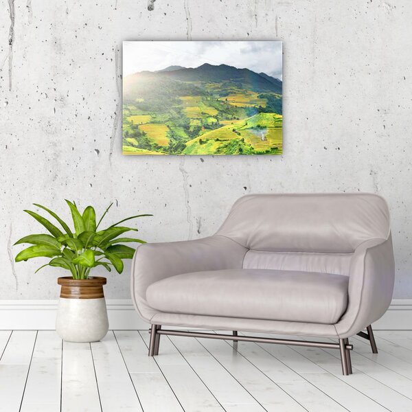 Tablou plantație (70x50 cm)