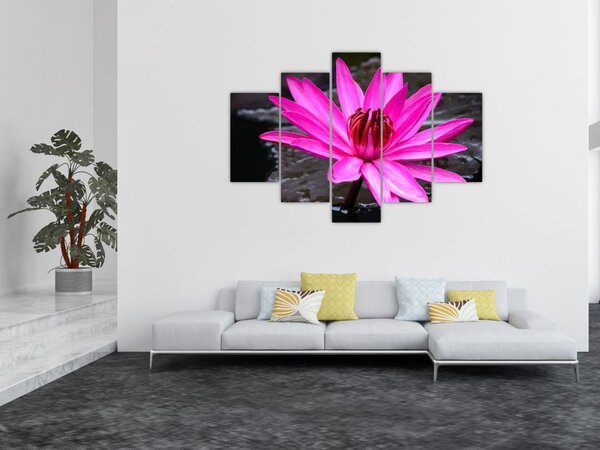 Tablou - floarea roz (150x105 cm)