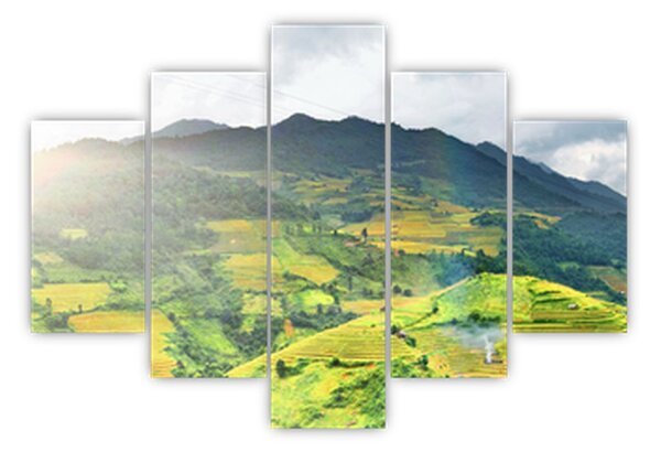 Tablou plantație (150x105 cm)
