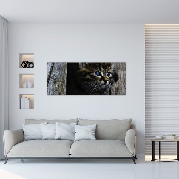 Tablou cu pisicuța (120x50 cm)