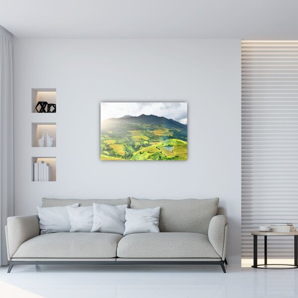 Tablou plantație (90x60 cm)
