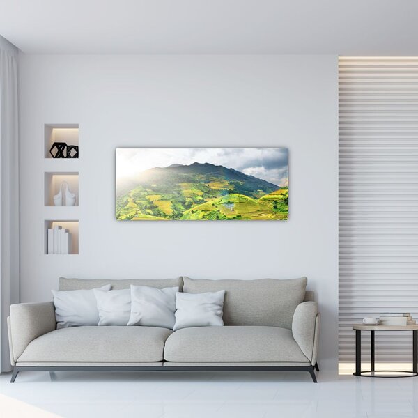 Tablou plantație (120x50 cm)