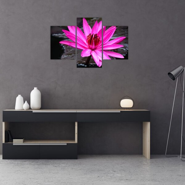Tablou - floarea roz (90x60 cm)