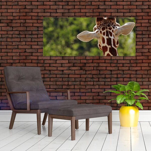 Tablou cu girafă din spate (120x50 cm)