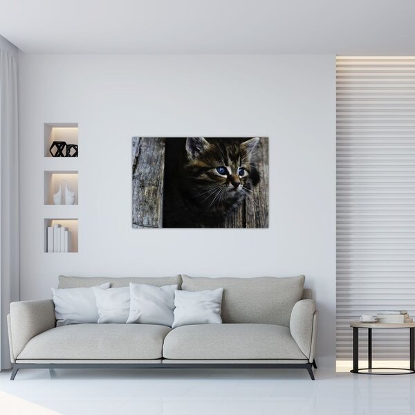 Tablou cu pisicuța (90x60 cm)