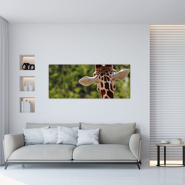 Tablou cu girafă din spate (120x50 cm)