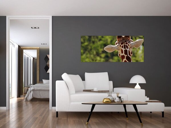 Tablou cu girafă din spate (120x50 cm)