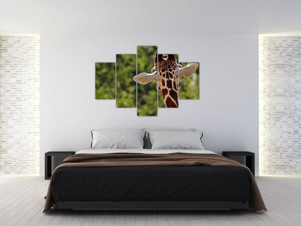 Tablou cu girafă din spate (150x105 cm)