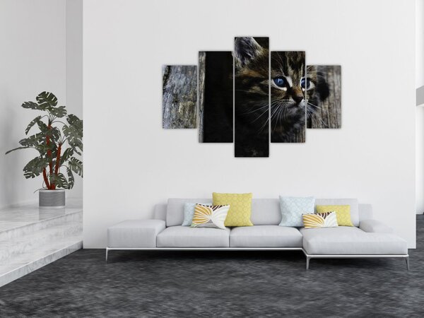Tablou cu pisicuța (150x105 cm)