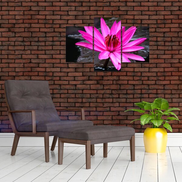 Tablou - floarea roz (90x60 cm)
