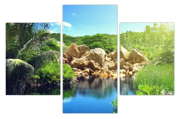 Tablou cu lac în jungla din Seychelles (90x60 cm)